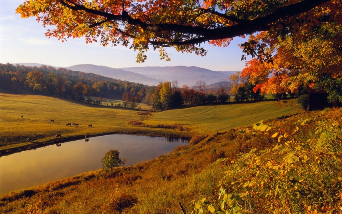 beauté-de-la-nature-paysage-en-automne-lac-arbre-herbe-colines