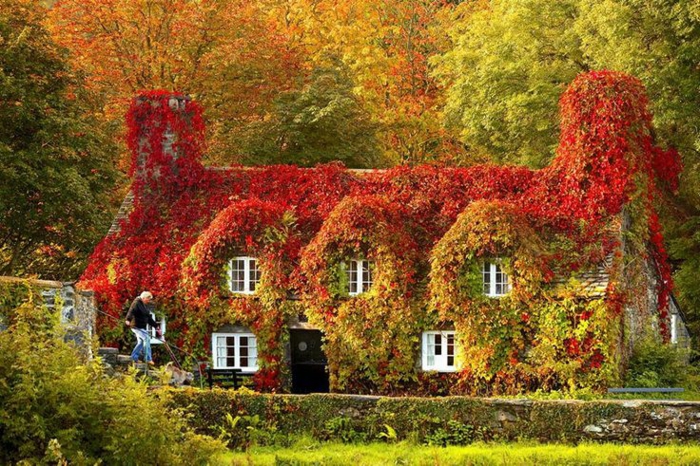 beauté-maison-tout-en-feuilles-de-la-nature-paysage-automne-saison