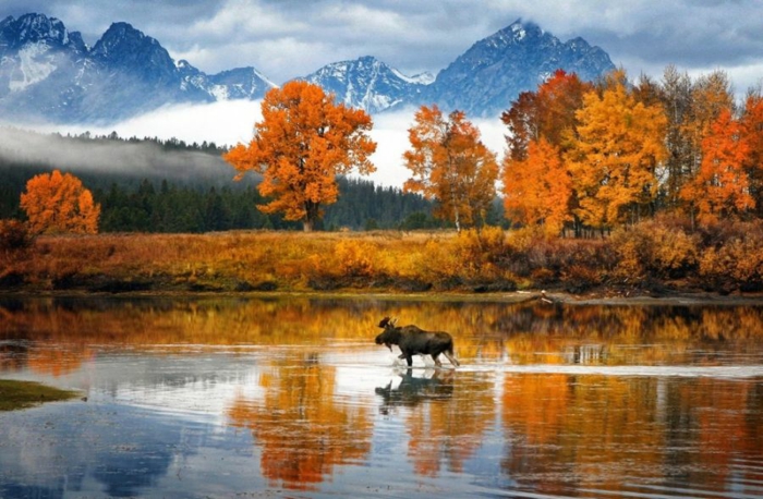 belle-image-à-télécharger-paysage-d-automne-jolie-nature