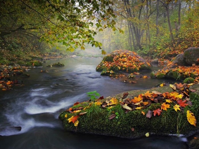 belle-image-à-télécharger-paysage-d-automne-jolie-rivière