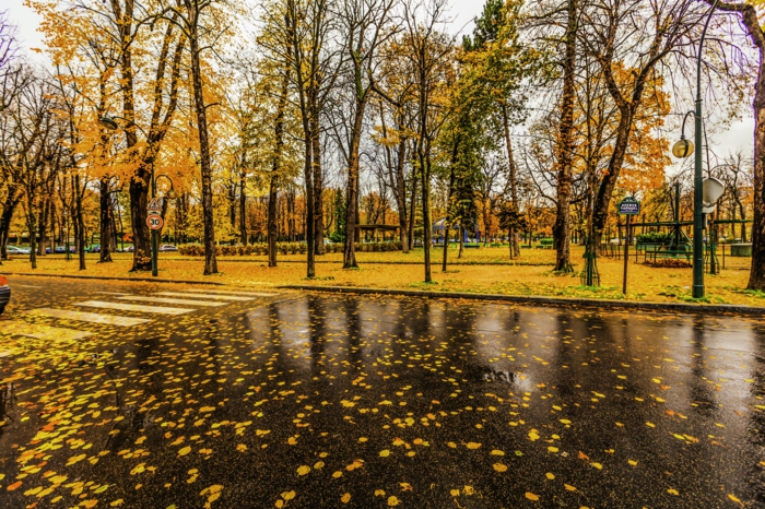belle-image-à-télécharger-paysage-d-automne-jolie-à-paris-feuilles