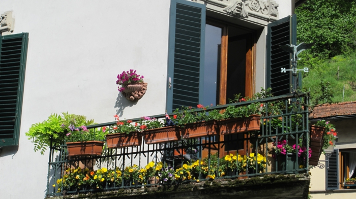 bien-choisir-les-fleurs-de-balcon-fleurir-son-balcon-avec-ces-jolis-fleurs-colorés