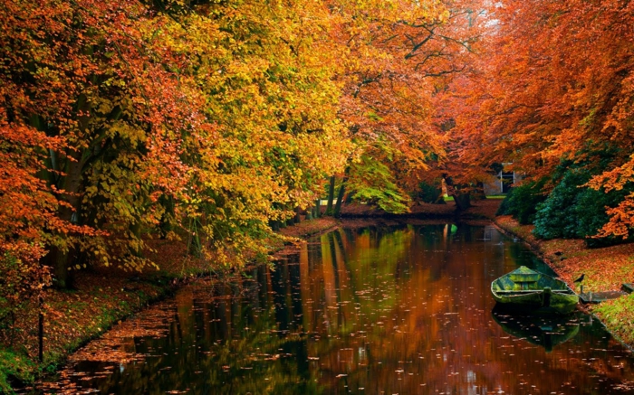 cannal-arbres-beauté-en-automne-paysage-eau-feuilles-orange-jaune