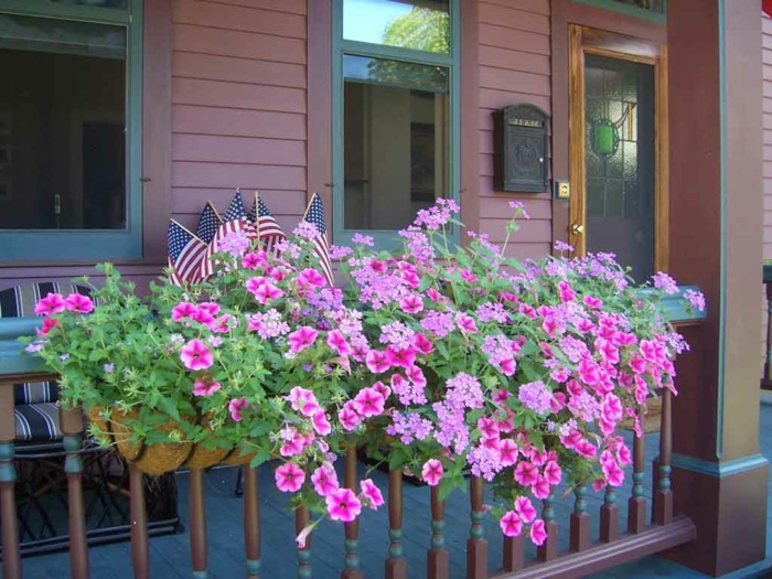 fleurs-de-balcon-pour-bien-aménager-une-jolie-terrasse-devant-la-maison-fleurs-violets
