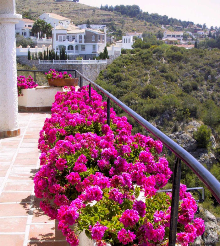 fleurs-de-balcon-roses-pour-bien-amenager-le-balcon-avec-une-jolie-vue-vers-le-cité