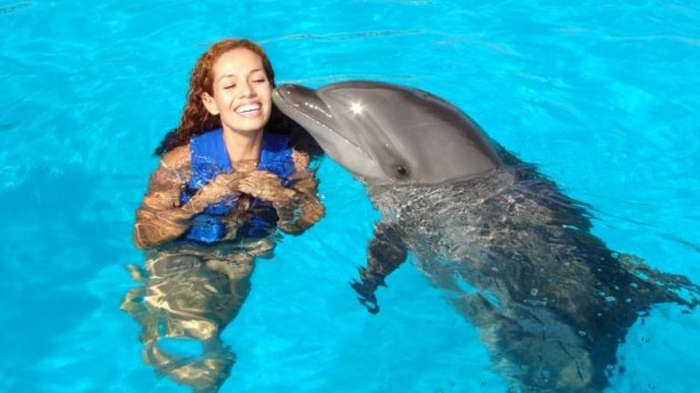 idée-cadeau-coupon-nager-avec-les-dauphins-france-belle-sourire
