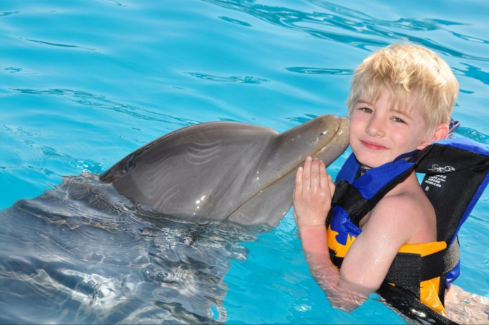 idée-cadeau-coupon-nager-avec-les-dauphins-france-enfant-blond
