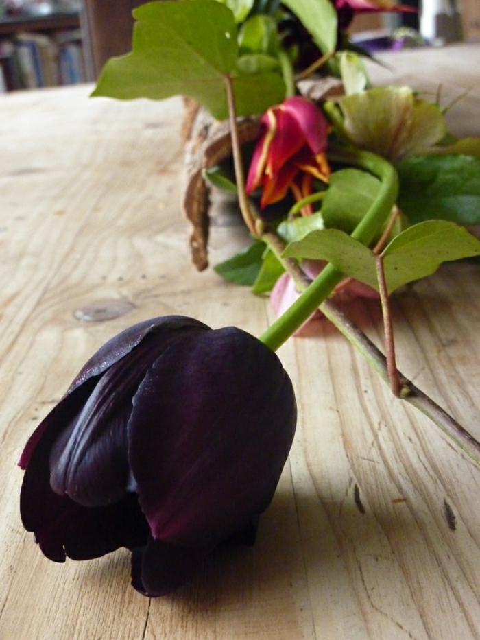 idées-bouquet-tulipe-noire-fleur-de-beauté-réel-table-bois