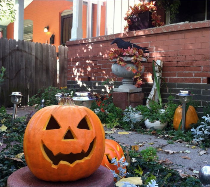 image-citrouille-Halloween-déco-maison-Toussaint-jardin-horreur