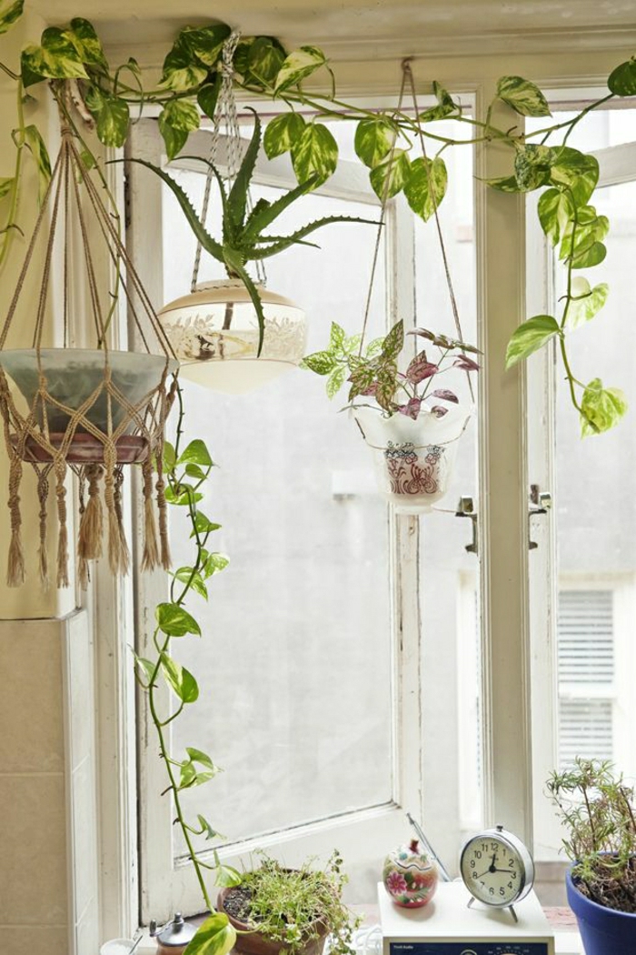 jolie-decoration-avec-plante-verte-d-intérieur-comment-bien-decorer-l-interieur