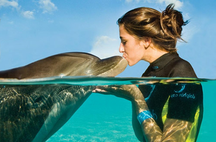 la-rencontre-avec-les-dauphins-rêver-à-faire-un-nage-belle-bisou
