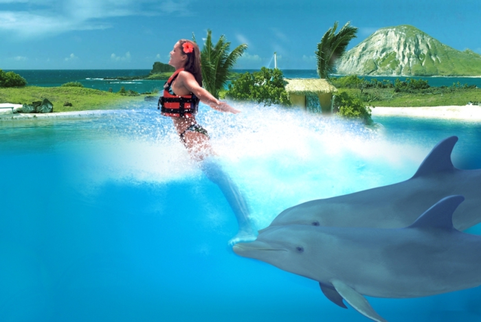 la-rencontre-avec-les-dauphins-rêver-à-faire-un-nage-dauphine