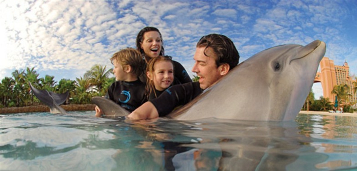 la-réalisation-d-une-reve-nager-avec-les-dauphins-marineland-famille-heureuse