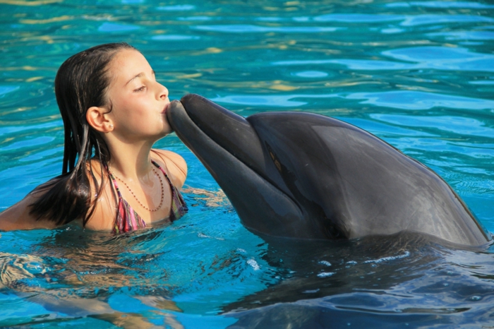 nage-dauphins-dans-la-mer-ou-piscine-dauphine-jolie-enfant-bisou