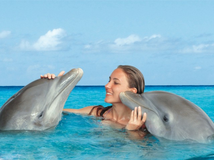 nage-dauphins-dans-la-mer-ou-piscine-dauphine-jolie-histoire