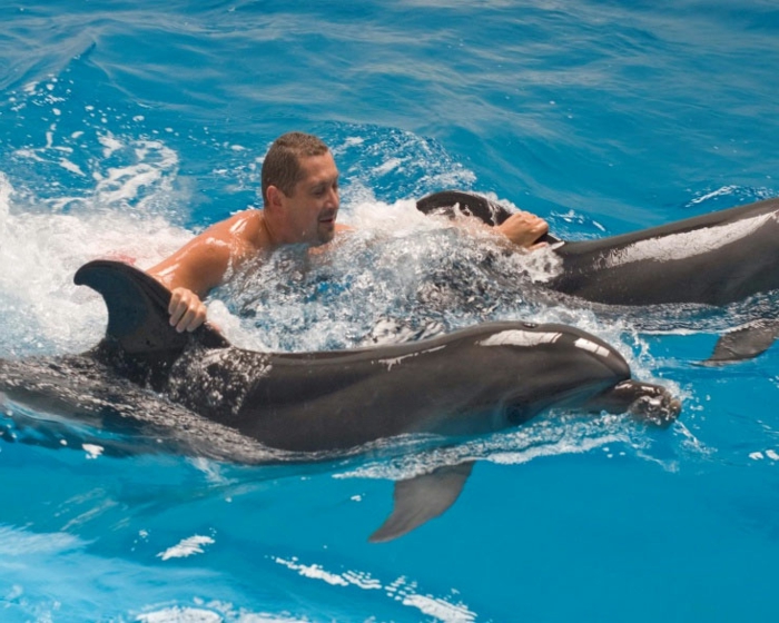 nager-avec-les-dauphins-en-france-europe-cadeau-original-idée-activité-piscine