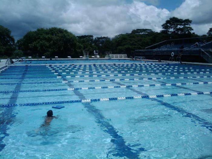 piscine-olympique-les-dimensions-standartisées-de-la-pisicne-olympique