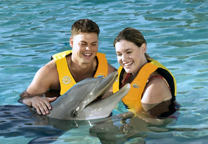 rencontre-avec-les-dauphins-rêver-à-faire-un-nage-couple-heureux