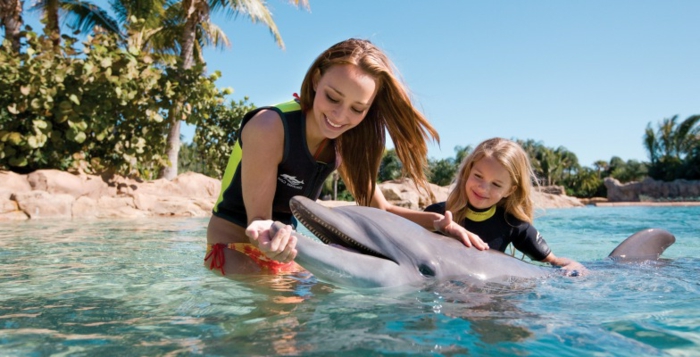 rencontre-avec-les-dauphins-rêver-à-faire-un-nage-jouer-avec