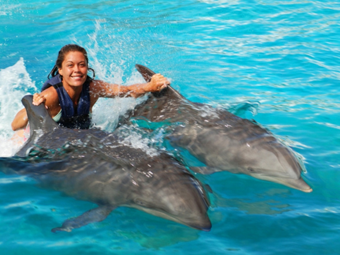 réaliser-son-rêve-nager-avec-les-dauphins-marineland-belle-sourire