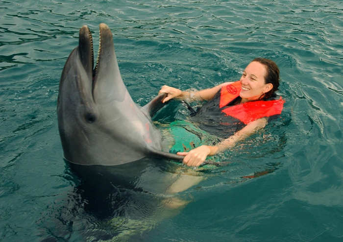 réaliser-son-rêve-nager-avec-les-dauphins-marineland-cool-photo
