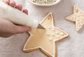 Le plus délicieux biscuit de Noël en images. 42 idées comment le faire!