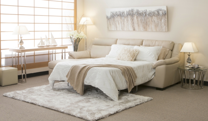 Idée-salon-bien-aménagéee-avec-canapé-confortable-blanc