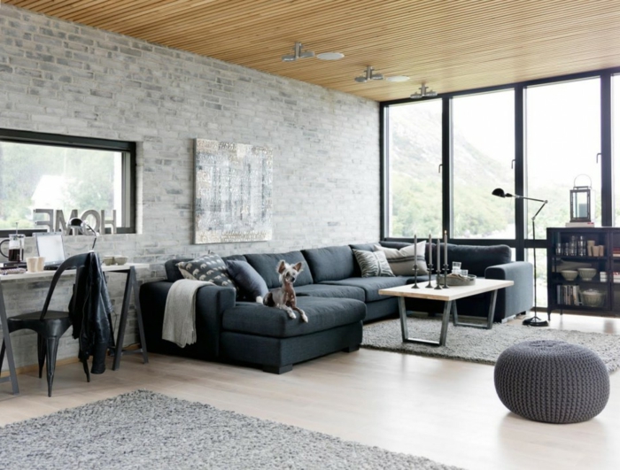 Salle-de-séjour-tapis-moderne-salon-contemporaine-idée-gris