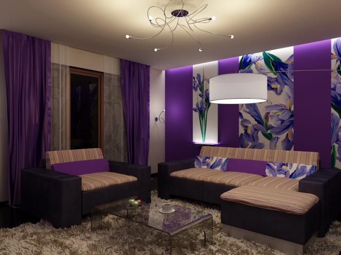 chambre-violette-salle-de-séjour-violette