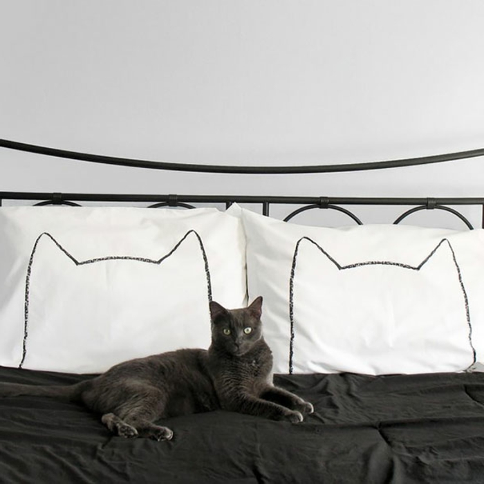 confort-sur-le-lit-la-taie-d-oreiller-tête-d-oreiller-idée-le-chat
