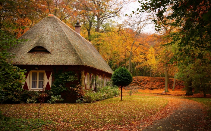 déco-maison-cool-extérieur-rustique-automne-une-chambre-belle-et-cozy-avec-décoration-maison-rustique