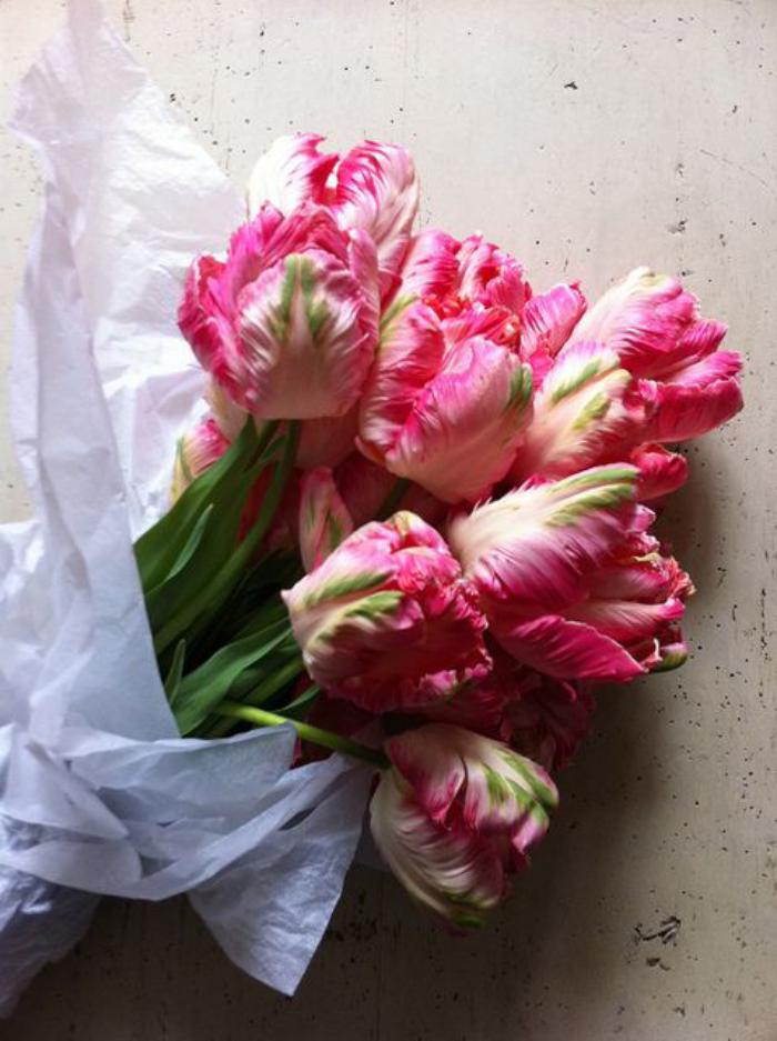 la-tulipe-beau-bouquet-de-tulipes