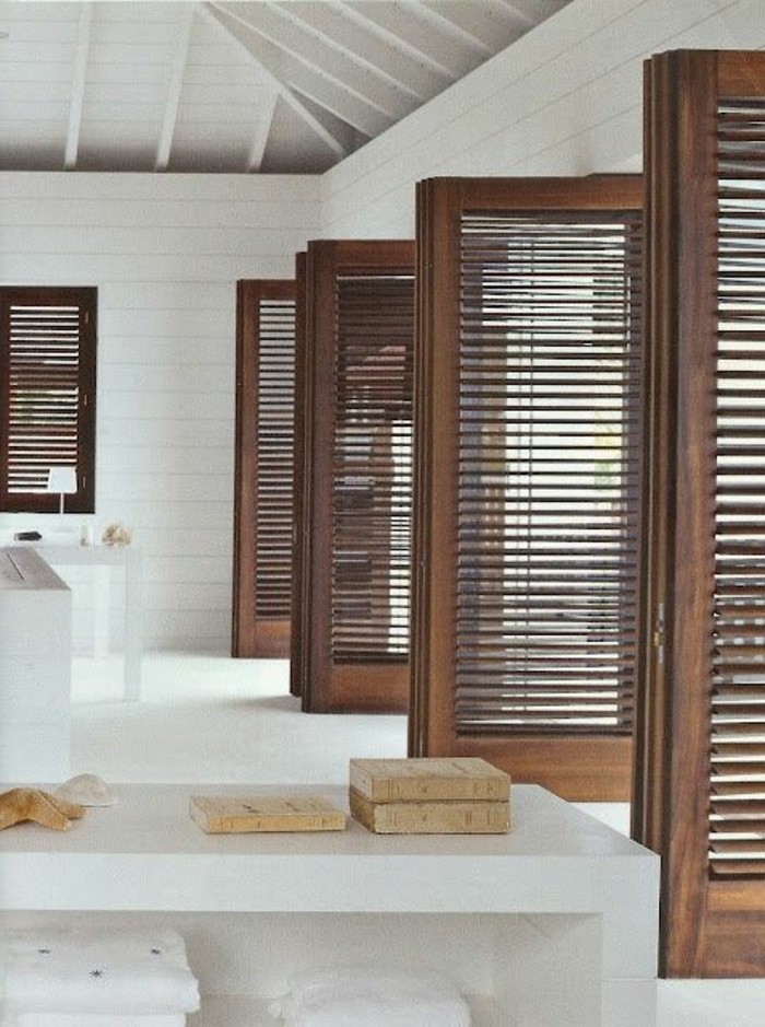 0-jolies-portes-placard-persienne-en-bois-massif-sur-les-fenetres-dans-la-maison-moderne