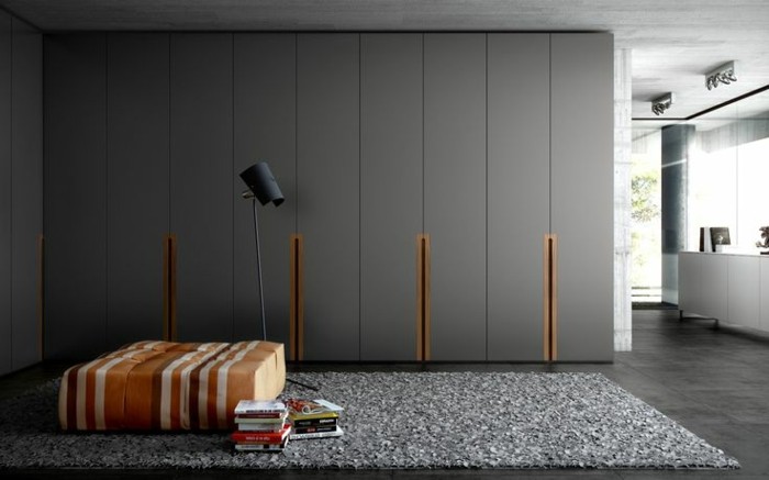 1-jolie-idee-pour-les-portes-de-placard-dans-le-salon-interieur-gris-moderne-tapis-gris-lampe-de-salon-noire