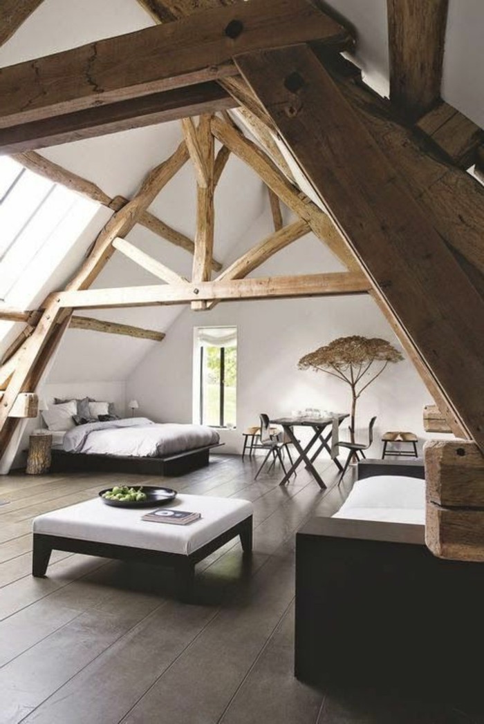 1-meuble-style-industriel-pas-cher-pour-loft-et-associé-sol-en-planchers-en-bois-foncé