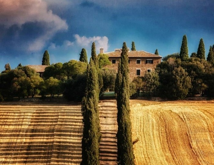 1-séjour-en-toscane-visiter-la-toscane-les-champs-de-blés-les-plus-beaux-champs