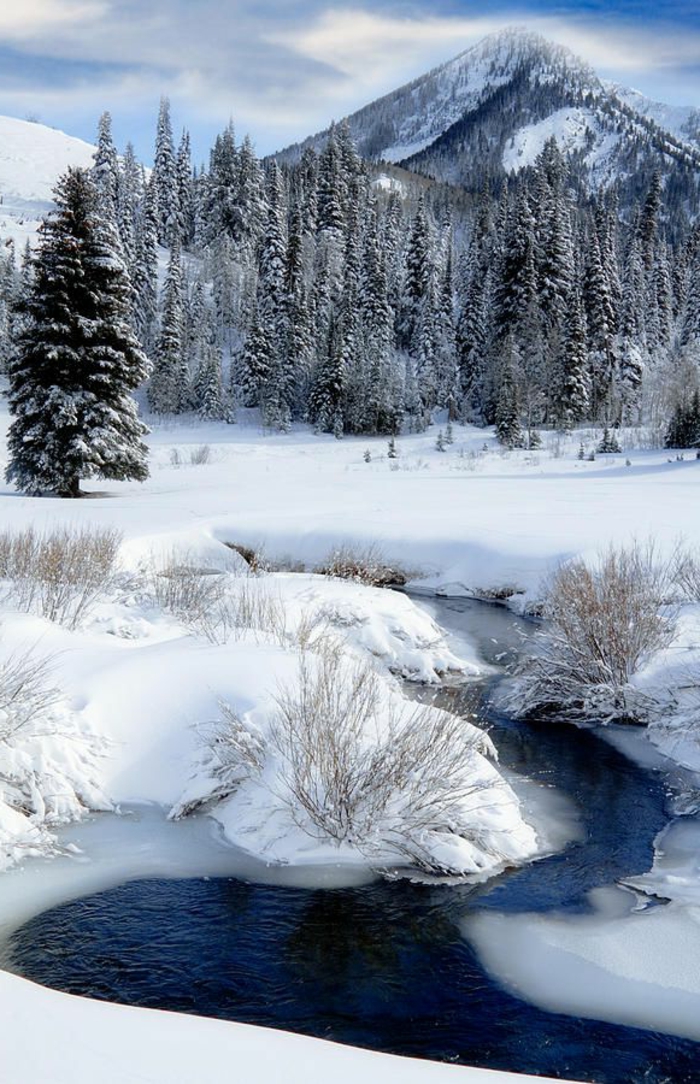 Chouette-paysage-de-neige-le-paysage-d-hiver-image-de-paysage-rivier