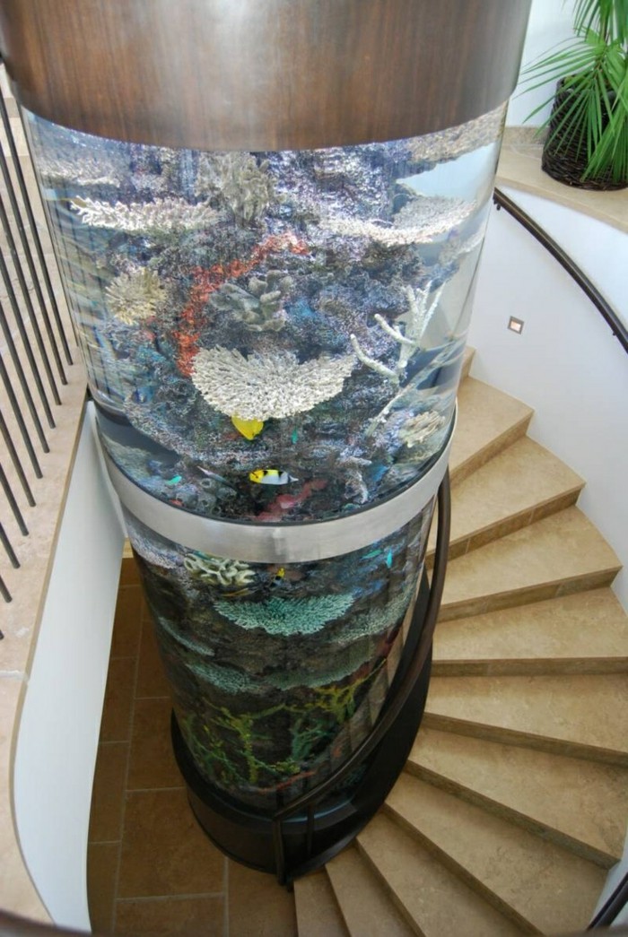 aquarium-mural-pas-cher-aquarium-complet-pas-cher-pour-l-escalier-interieur