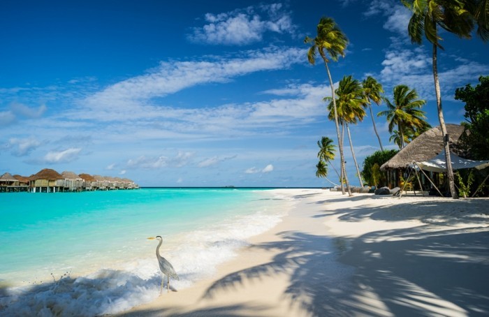 belles-les-iles-maldives-paradise-island-maldive-pas-cher