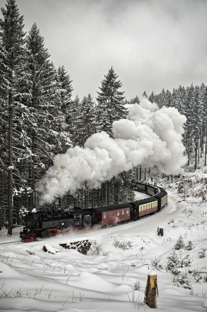 chouette-canada-paysage-fond-ecran-neige-fond-d-écran-d-hiver-train-paysage-d-hiver