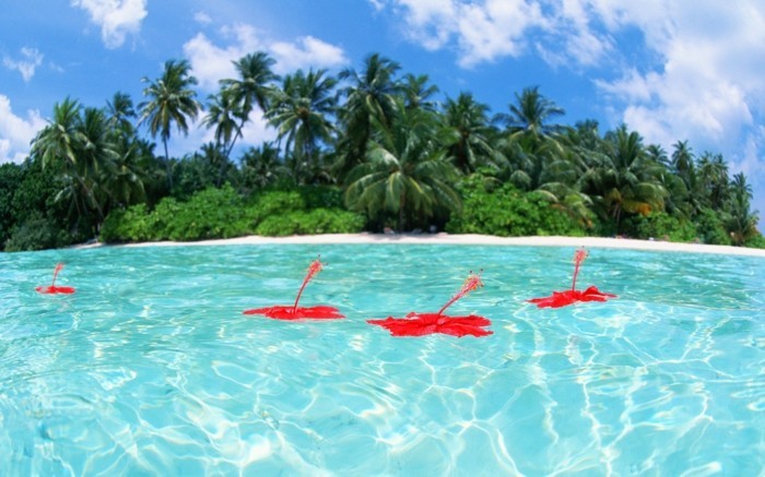 eau-mer-maldive-carte-que-faire-aux-maldives-nature-incroyable-beauté