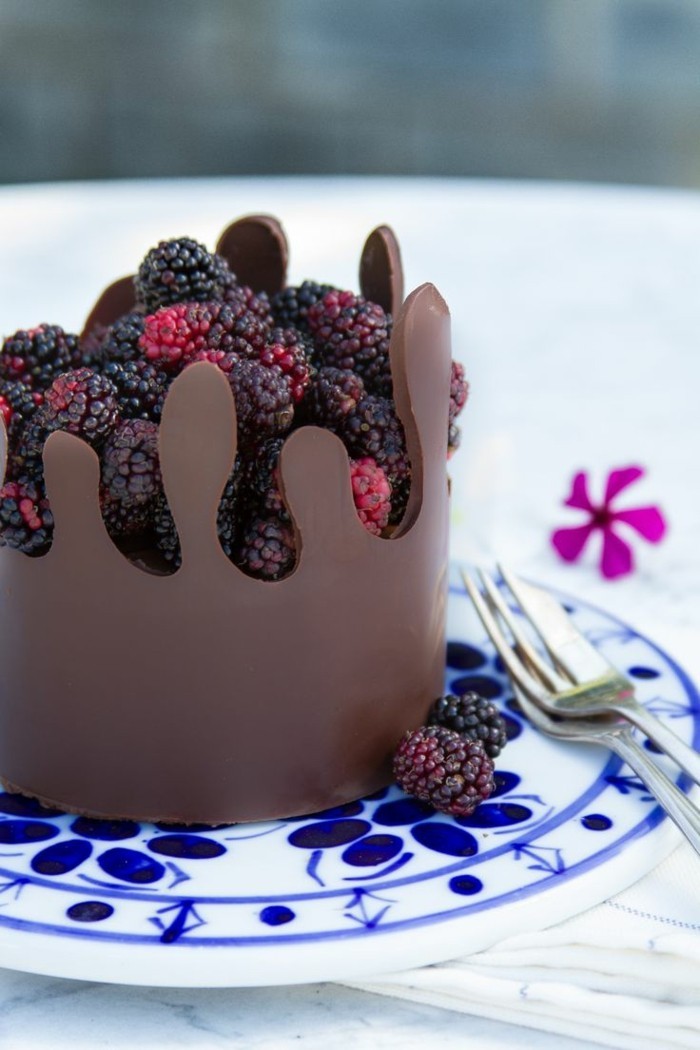 entremet-chocolat-gâteau-chocolat-genoise-chocolat-dessert-parfait-fruits-et-choco