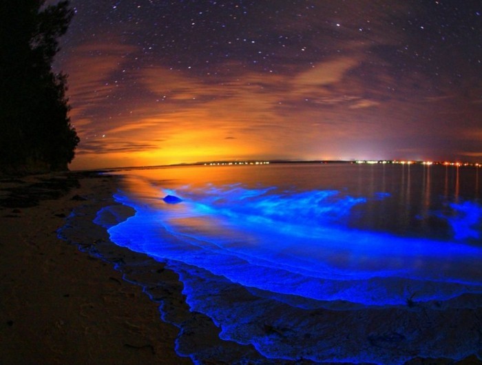 image-au-coucher-de-soleil-plankton-sejours-maldives-vacances-aux-maldives-ile-maldives-eau-illuminé