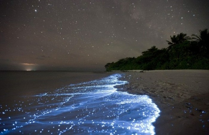 image-eau-illuminé-plancton-sejours-maldives-vacances-aux-maldives-ile-maldives