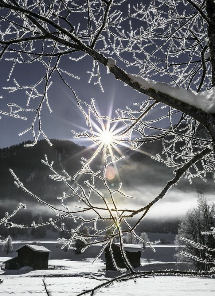 l-image-neige-paysages-de-neige-photo-d-hiver-arbres