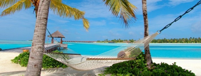 maldive-carte-que-faire-aux-maldives-nature-incroyable-beauté-hammac-palmes
