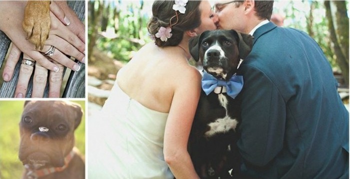 photo-de-mariage-originale-jours-pacs-idée-cool-et-le-chien