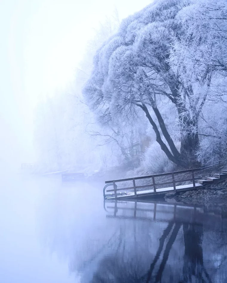 photo paysage d hiver dans la nature avec du brouillard