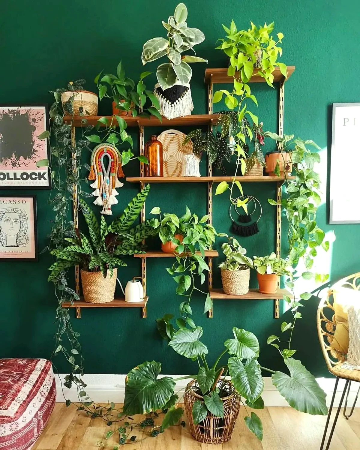 plantes d interieur super faciles d entretien grand mur vert