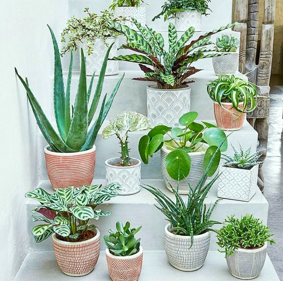 quelles plantes pour purifier l air pot avec plusieurs plantes vertes